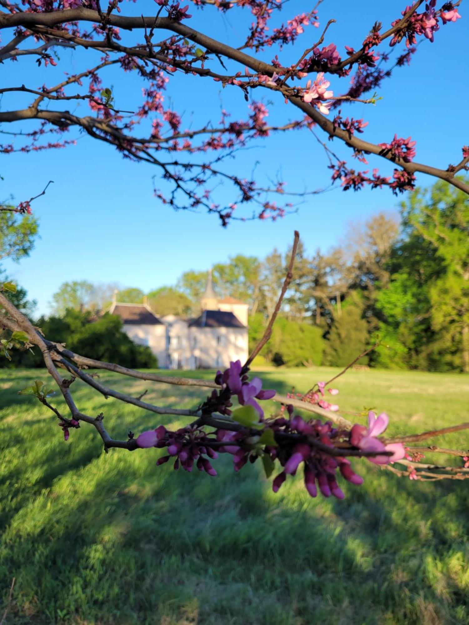 Bed and Breakfast L'Ancre Vive Charentay Esterno foto
